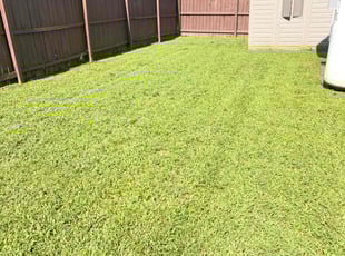 Bri V.'s Grass Cutting service result