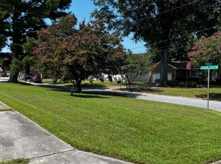 Holly S.'s Grass Cutting service result