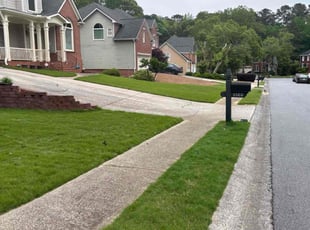Ian C.'s Lawn Care service result