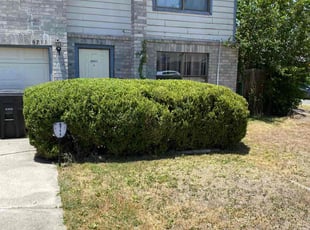 Cleanups by Lacy Dixon for Shannon H. in San Antonio, TX