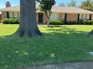 Robert S.'s Yard Cutting service result