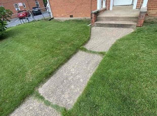 James I.'s Lawn Care service result