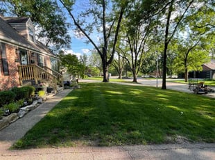 Lashaunda S.'s Grass Cutting service result