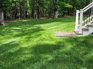 Robert T.'s Lawn Care service result