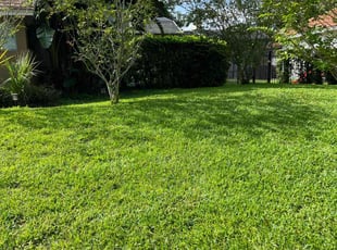Ravi S.'s Lawn Mowing service result