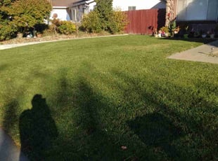 RyAnn P.'s Lawn Service service result