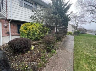 Bush Trimming by Brian Goodlow for Catherine C. in East Brunswick, NJ