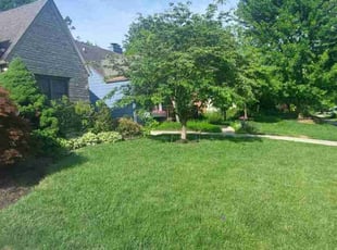 Ensa M.'s Lawn Care service result