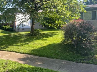Chrissy A.'s Lawn Mowing service result