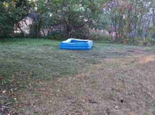 Leaf Removal by Abigial Klar for Duane M. in Minneapolis, MN