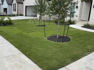 Jalal S.'s Lawn Care service result