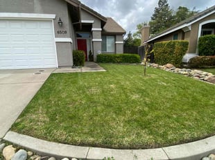 NAKISHA W.'s Lawn Mowing Service service result