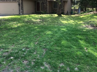 Cleanups by Gabriel Rochford for Briana R. in Minneapolis, MN