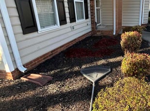 Bush Trimming by Manuel Soriano for Pia H. in High Point, NC