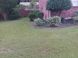 Bush Trimming by Reginald Cooper for Bernice C. in Elgin, SC