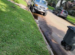 Leaf Removal by Bianca Boyle for Ashley W. in Houston, TX