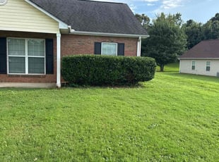 Marie W.'s Bush Trimming service result