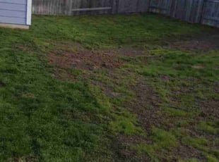 Cleanups by Jeremy Krahn for Luis C. in Austin, TX