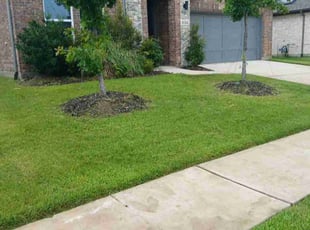 Brenda R.'s Flower Bed Weeding service result