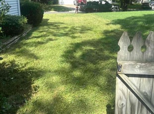 Bush Trimming by Caree Keith for Toni G. in Washington, DC