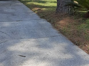 Leaf Removal by Alan Hollis for Carolyn W. in Tallahassee, FL
