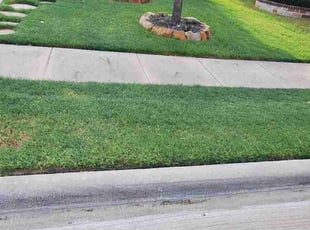 Priaya P.'s Lawn Mowing service result