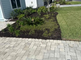 Bush Trimming by Altoul Valerus for Matthew S. in Saint Johns, FL