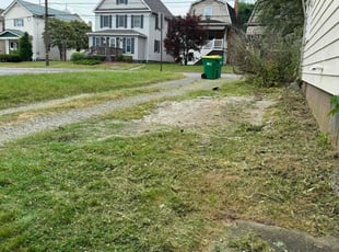 Harry H.'s Yard Cutting service result