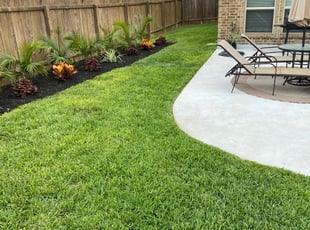 Chelsi P.'s Grass Cutting service result