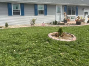 Nydia V.'s Lawn Service service result