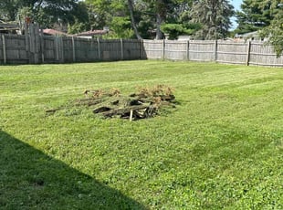 Trevor G.'s Lawn Mowing Service service result