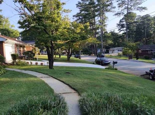 Yolanda H.'s Lawn Mowing service result