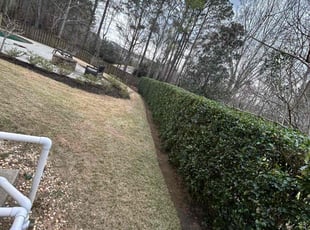 Bush Trimming by Jestin Oxendine for Colin M. in Evans, GA