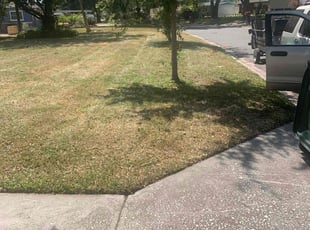 Rena R.'s Lawn Mowing service result