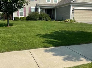 Maly m.'s Lawn Mowing service result
