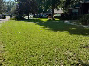 Georgina R.'s Lawn Mowing service result