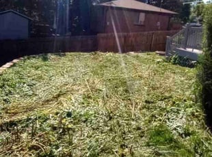Cleanups by Jacques Chauvin for Jason C. in Arvada, CO