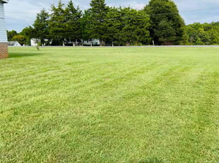 Marilem D.'s Lawn Service service result