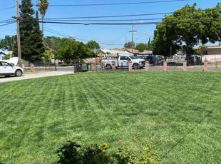 Ms. J.'s Grass Cutting service result