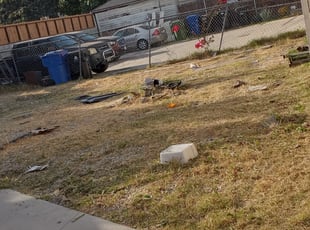 Cleanups by Jose Martinez for Antonio M. in Los Angeles, CA