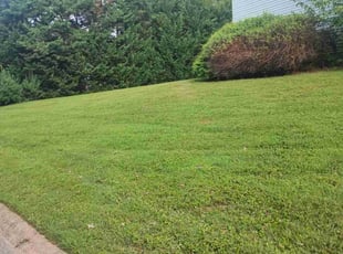 Georgette W.'s Lawn Mowing service result