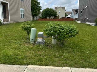 Bush Trimming by Eugenio Cuenca for Taleia P. in Greenwood, IN