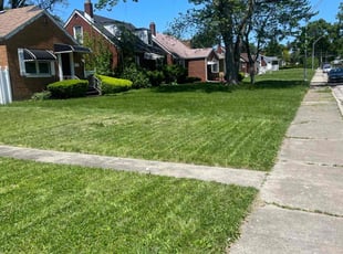 Michael W.'s Lawn Maintenance service result