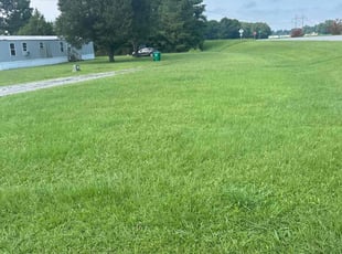 Corey W.'s Grass Cutting service result