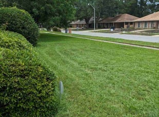 Kenny M.'s Lawn Maintenance service result