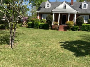Lashaunda S.'s Lawn Service service result