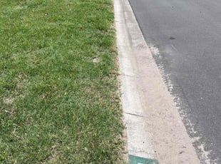 Lisa J.'s Grass Cutting service result