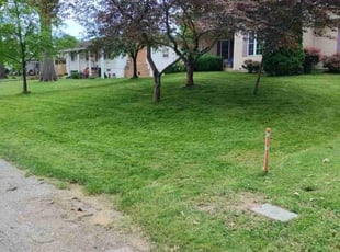Holly K.'s Lawn Care service result