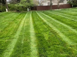 Noor H.'s Lawn Care service result