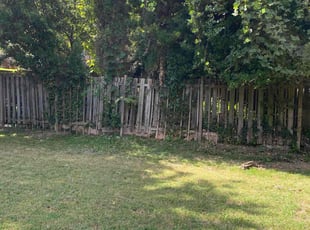 Bush Trimming by Chris Servin for Ahad P. in Atlanta, GA